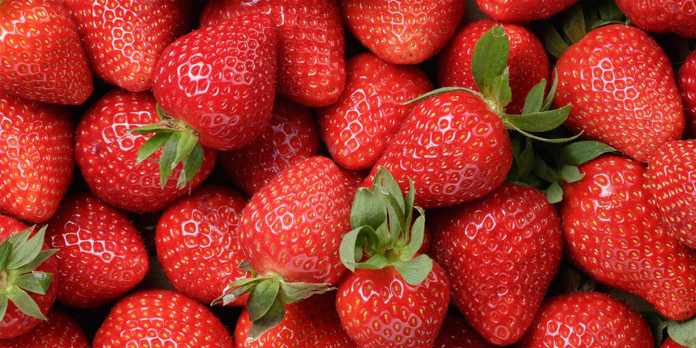 Close-up of fresh, ripe strawberries with vibrant red color and green leafy tops, showcasing their juicy and appetizing texture